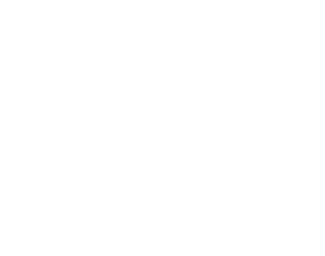VasimEvents-logo-wit-transparant